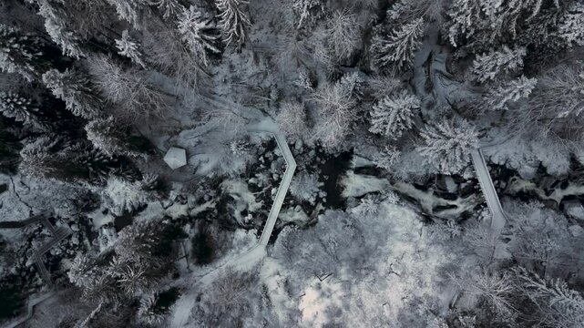 Triberg Winter: Ascending Drone Over Rapids and Frozen Falls