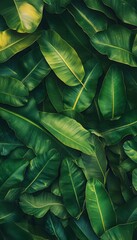 Many overlapping green leaves create a natural leafy background texture