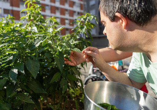 Engaging gardening activities at mental health day center