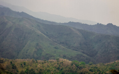Green tropical forests in the dry season retain most of their greenery, even though rainfall decreases.