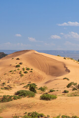 Coral Pink Sand Dunes state park, Utah