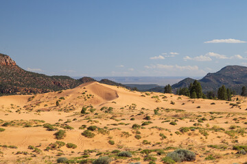 Coral Pink Sand Dunes state park, Utah