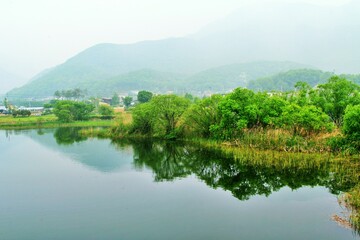 안개가 낀 한국의 농촌 풍경