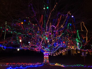 richmond tree