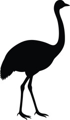 Black Silhouette of an Ostrich with Extended Neck and Running Stance