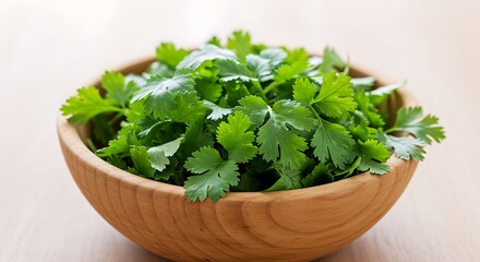 Fototapeta premium Cilantro overflowing in wooden bowl - freshness and healthy eating - food blog
