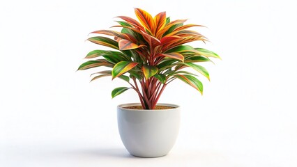 Obraz premium Modern Indoor Plant, Isolated on White Background, Drone Photography Style