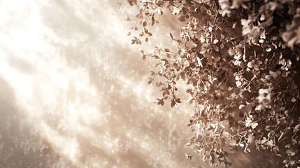 Delicate leaves gracefully hanging against a subtle soft background
