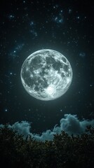 Fototapeta premium Full moon night sky over trees
