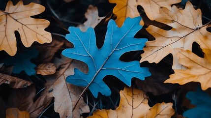 Blue Oak Leaf Amongst the Autumn Leaves a Captivating Contrast Nature s Palette Unique Beauty