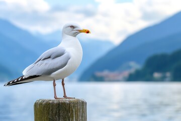 Seagull perched on post, lake mountains background, nature scene, travel photography