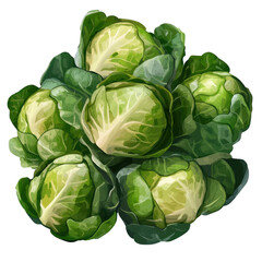 Obraz premium Fresh Green Cabbage Heads in a Layered Arrangement