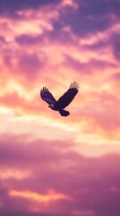 Majestic eagle flying purple orange sky