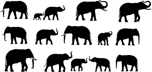 Obraz premium elephants collection, set silhouette on white background vector 