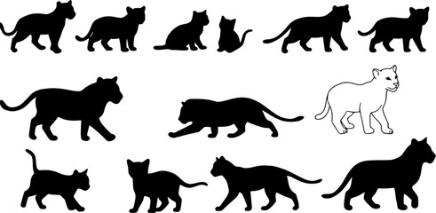 lion cub collection, set black silhouette vector
