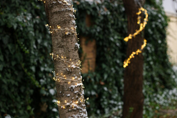 Tree trunks decorated with Christmas lights outdoors, closeup. Space for text