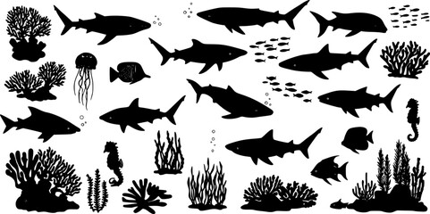 sea animals, fish, algae set silhouette ,on white background, vector
