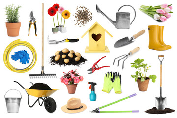 Set of different gardening tools and plants isolated on white