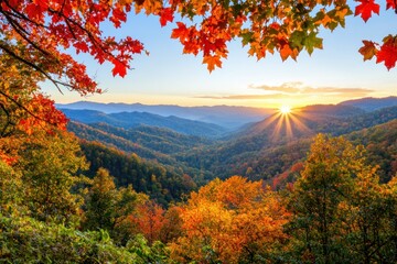 Radiant dawn over a valley blanketed in autumn colors scenic landscape with a blue sky horizon and sunburst