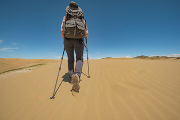 A human tourist, a traveler with a hat on his head and a backpack on his back, with trekking poles...