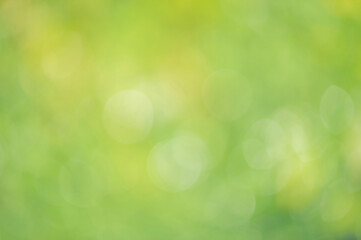 Fototapeta premium Defocused green background with bright defocus lights. Bokeh, abstract natural background.