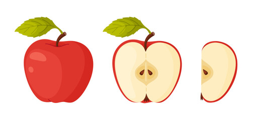 Red ripe apple. Whole, half, slice of fresh Red apple garden fruit. Hand drawn food clipart. Cartoon apple fruit Flat style isolated, transparent background Red Delicious Vector illustration