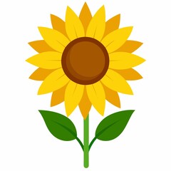 sunflower vector illustration