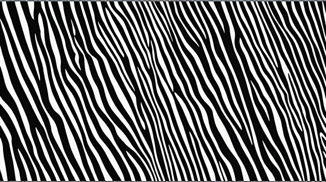 zebras skin