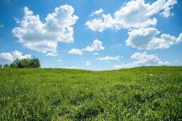 Fototapeta premium Serene Meadow Landscape with Lush Green Grass and Majestic Clouds Under Bright Blue Sky Tranquil Scene
