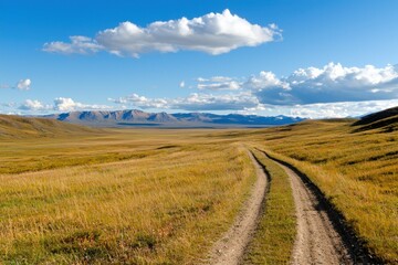 Serene golden grassland landscape under a blue sky featuring distant mountains and a rustic winding dirt path