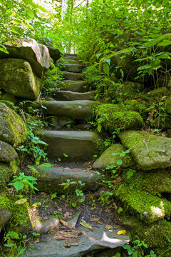 Stone Steps, Greenbrier Area, Great Smoky Mountains National Park