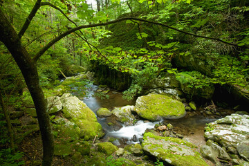 Roaring Fork, Motor Nature Trail, Great Smoky Mountains National Park