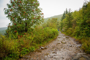 Shinning Rock Wilderness Area, Pisgah National Forest