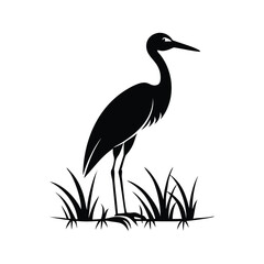 heron of green grass