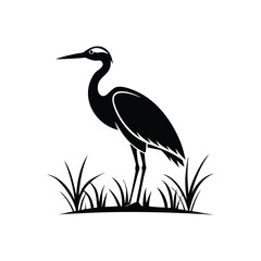heron of green grass