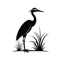 heron of green grass