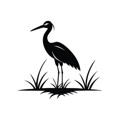 heron of green grass