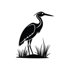 heron of green grass