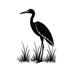 heron of green grass