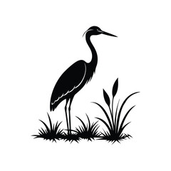 heron of green grass
