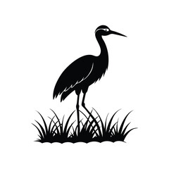 Obraz premium heron of green grass