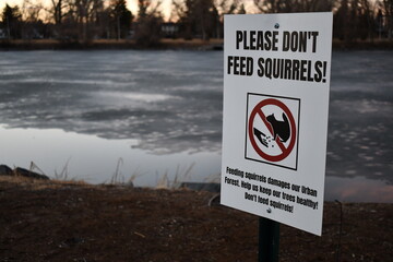 Please Don't Feed Squirrel's sign in local park. Lake in the background.