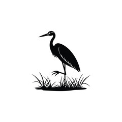 heron of green grass