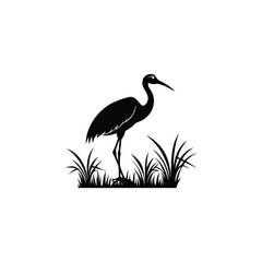 heron of green grass