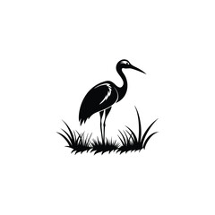 heron of green grass