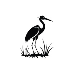heron of green grass