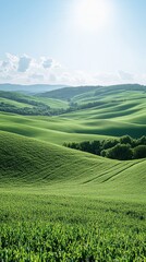 Fototapeta premium Sunny rolling hills landscape, farmland, nature
