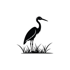 heron of green grass