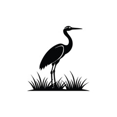 heron of green grass