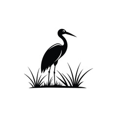 heron of green grass